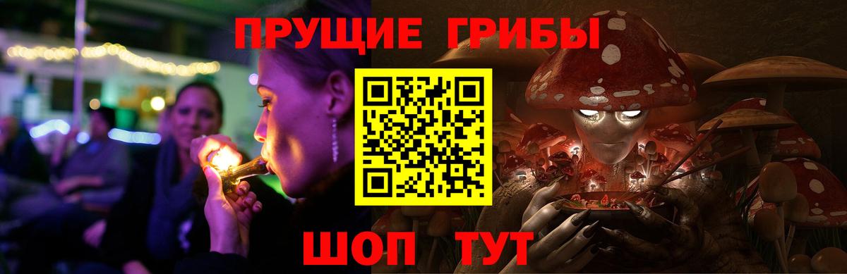 Галлюциногенные грибы Cubensis Кингисепп